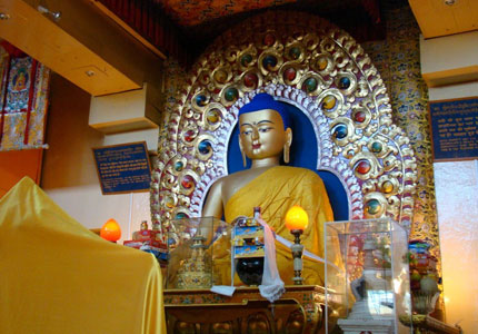 Chandigarh Dharamshala Palampur