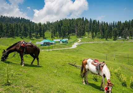 Amritsar to Patnitop Srinagar 7 Days Tour