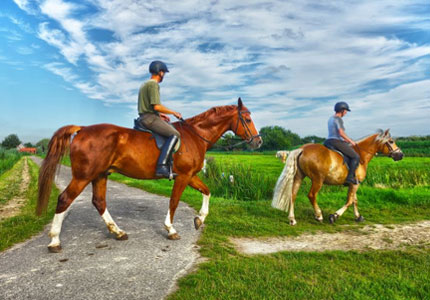 Amritsar Dalhousie Dharamshala