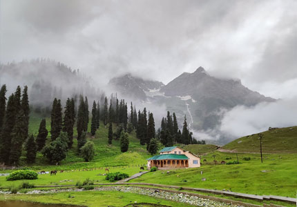 Amritsar to Patnitop Srinagar 7 Days Tour